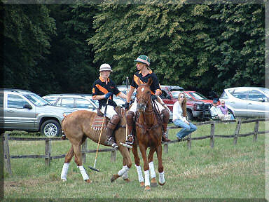 Polo image 9 - a bit of mid-game relaxation, as the team talks tactics