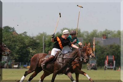Polo image 1 - the team in action
