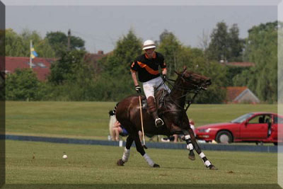 Polo team image 3 - turning, reading to get involved in the action