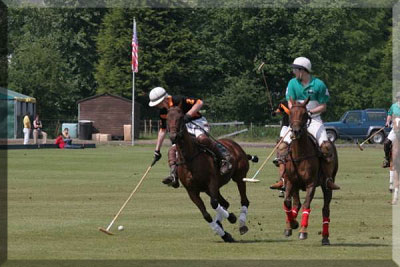 Polo image 4 - in the thick of it, chasing victory